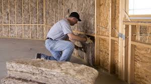 Best Wall Insulation Installation  in Zionsville, IN