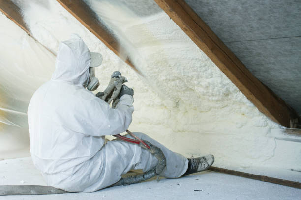 Best Pipe and Duct Insulation  in Zionsville, IN